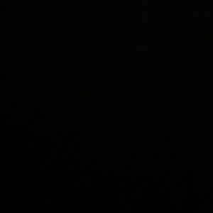 Meet your Posher, Carmella